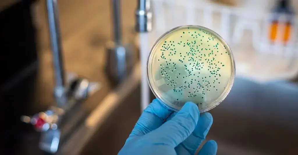 Bacteria Results Need Context Before They Drive Building Decisions